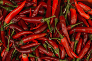 Chirurgien plasticien Cayenne